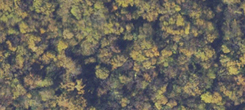 Acreage