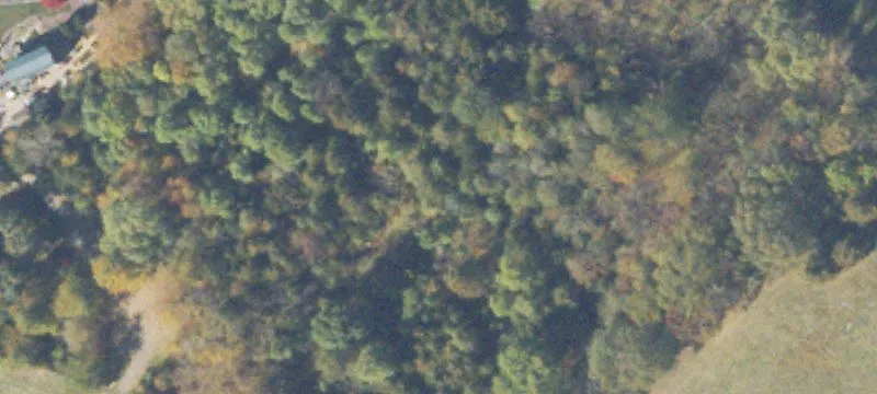 Dayton, VA 22821