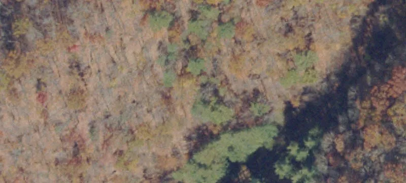 Rowe, VA 24646