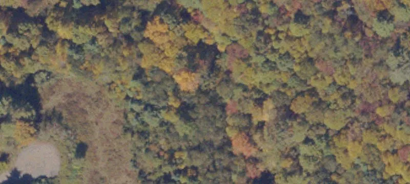 Laurel Fork, VA 24352