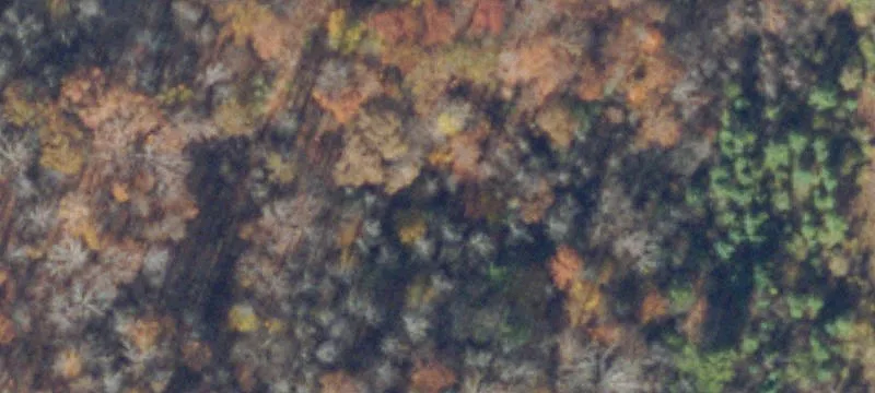Coeburn, VA 24230