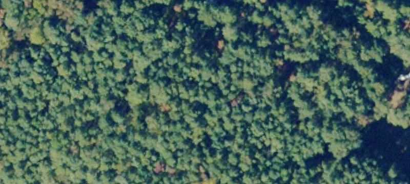 La Crosse, VA 23950