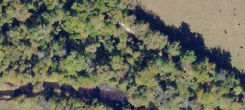 Piney River, VA 22964
