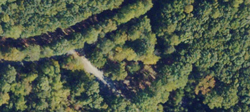Plank Rd