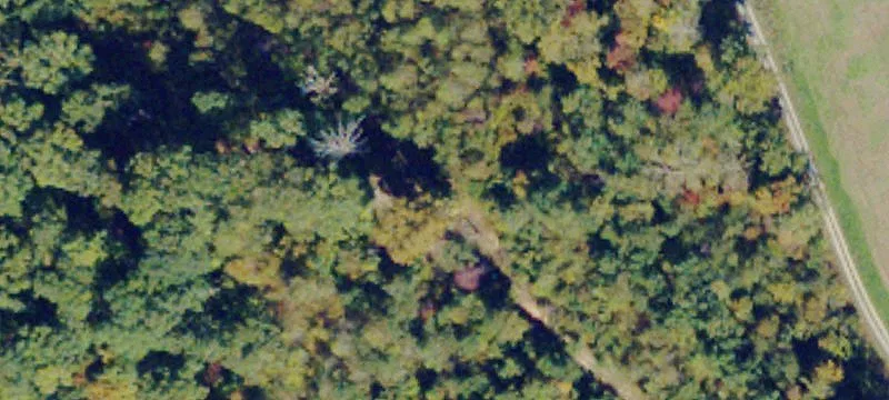 Pamplin, VA 23958