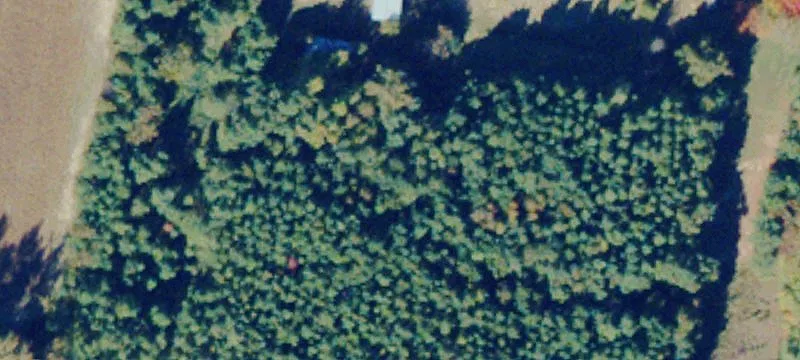 La Crosse, VA 23950