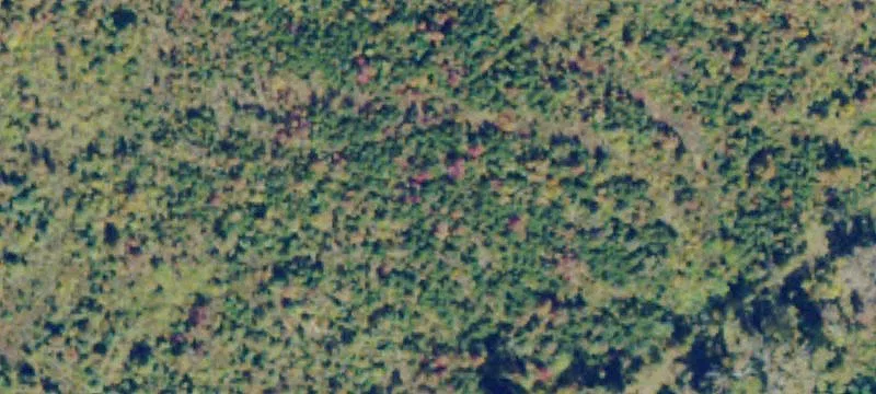 Berry Hl Rd