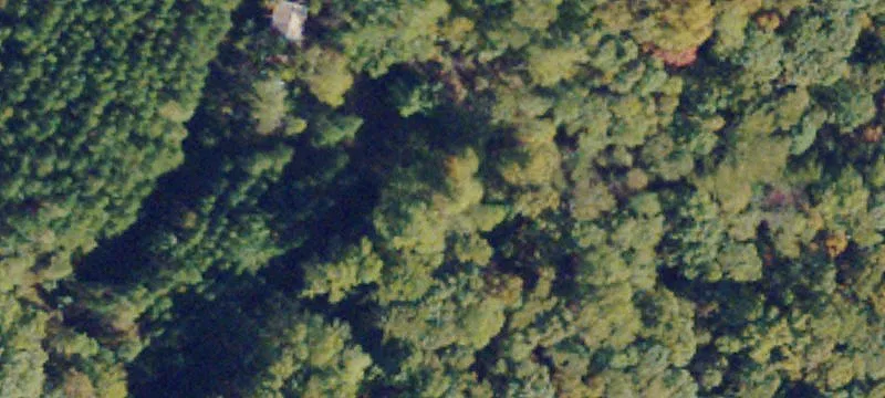 Red Rd