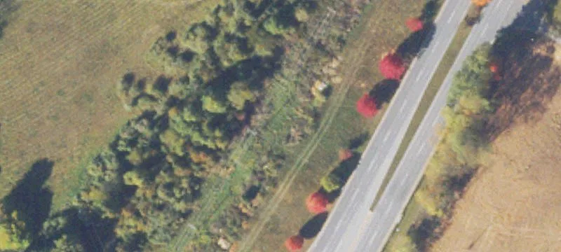 635 Lew Dewitt Blvd
