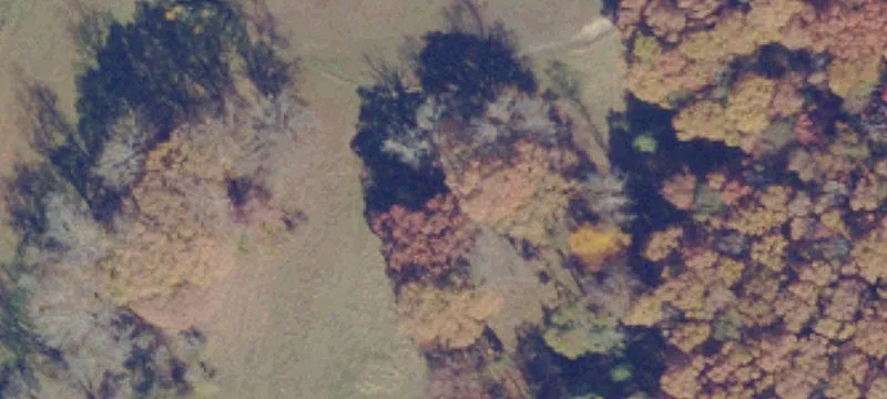 900 Wilderness Rd