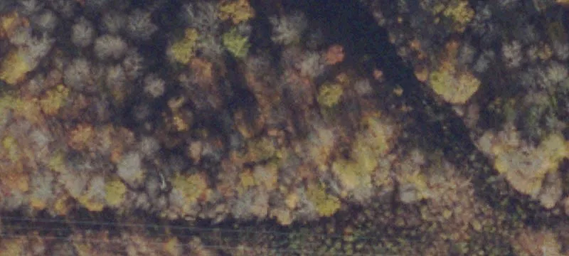 Oakwood, VA 24631