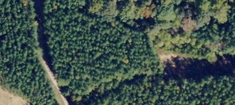Pamplin, VA 23958