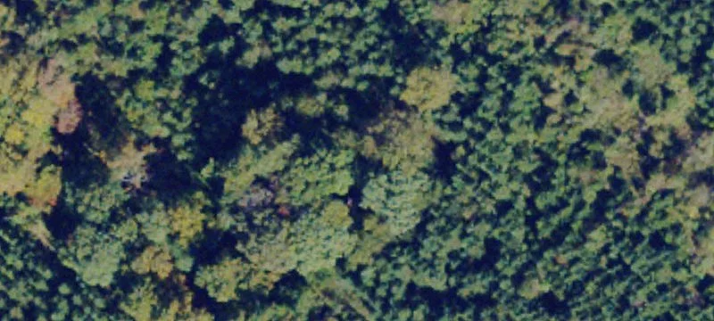 Pamplin, VA 23958