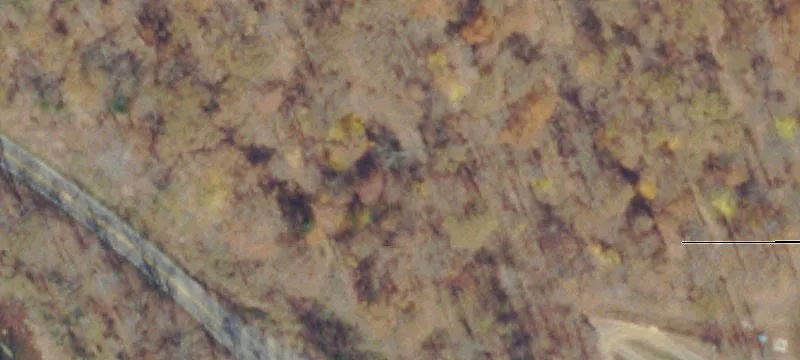 Ruffled Leaf Rd