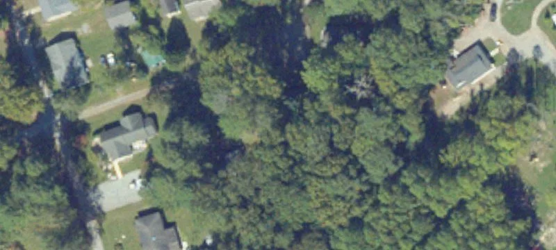 Cedar Dr