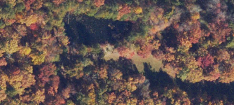2475 Mt Torrey Rd