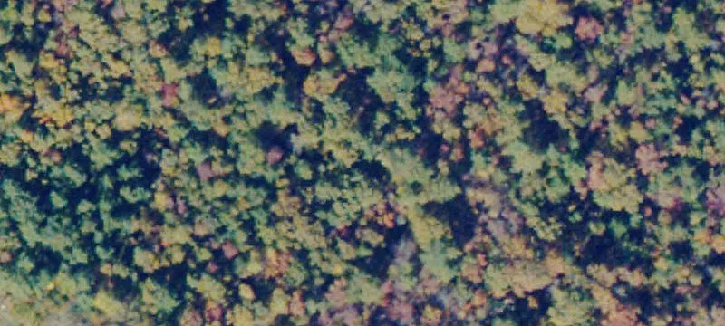 Jetersville, VA 23083
