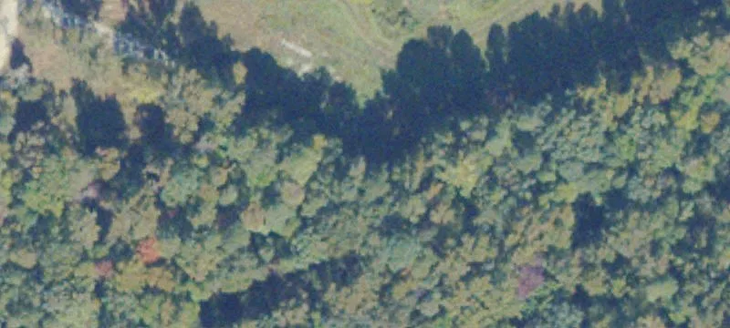 6479 Miller Rd