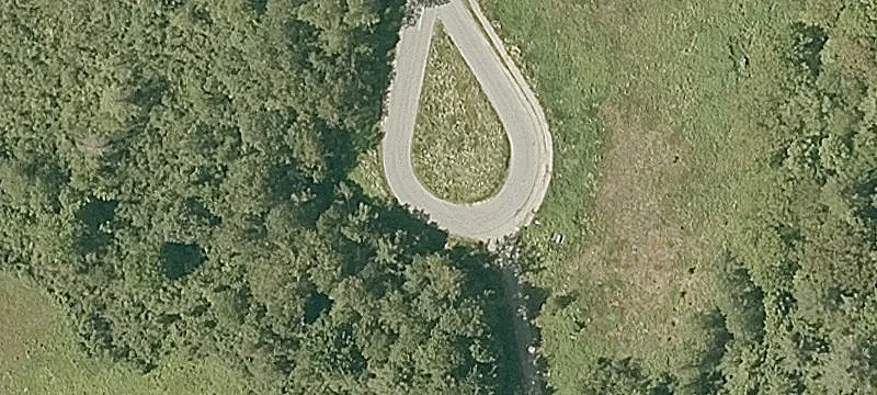 Arboretum Ln