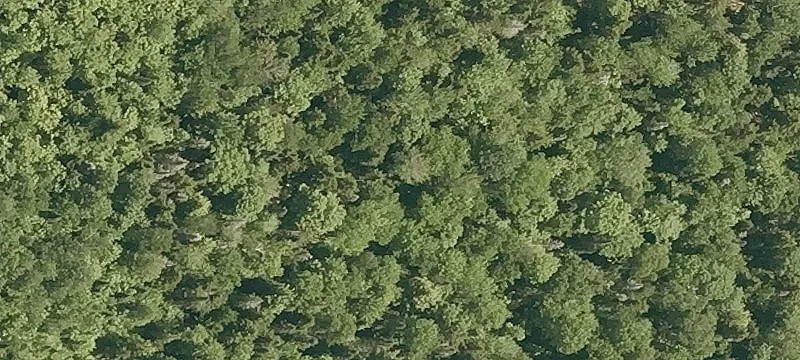 911 Shaw Rd