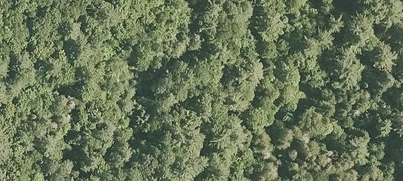 740 Mosquitoville Rd