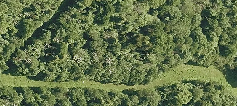 626 Mt Ellen Rd