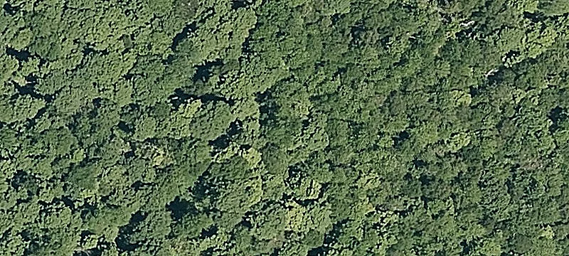 Trailside Rd