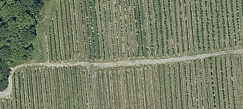 2955 Vt Rte 74th W