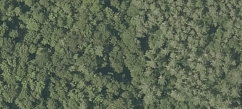 Town Farm Rd