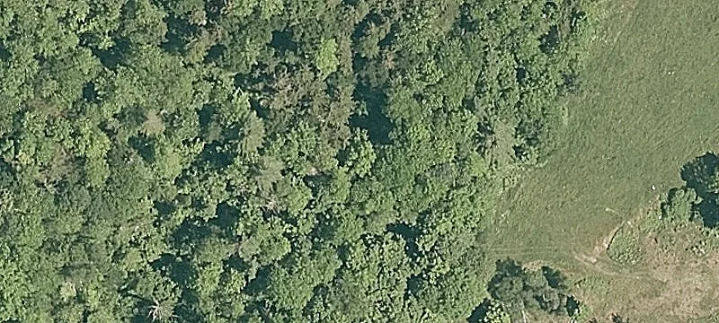 84 Brandon Mt Rd