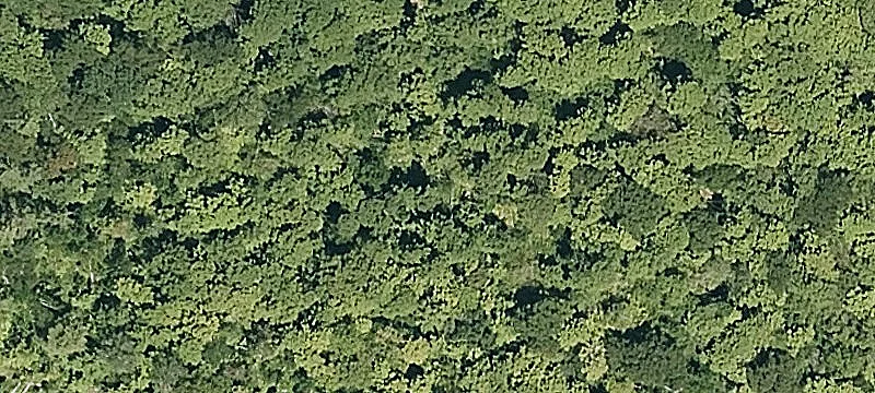 596 4th Chimneys Rd