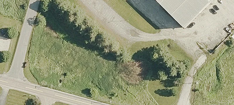 Websterville Rd