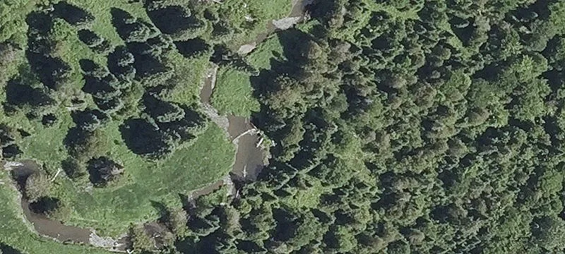 148 Tree Farm Rd