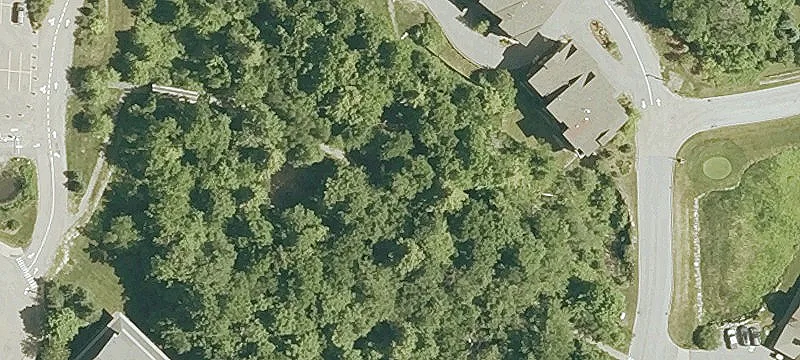 Spruce Peak Rd