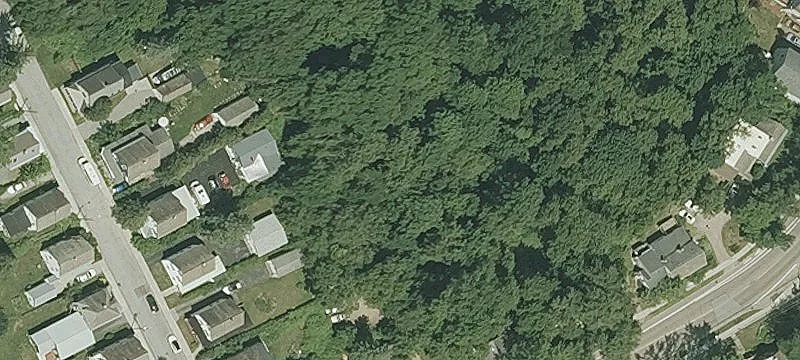 314 Colchester Ave