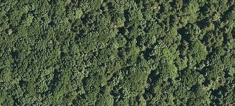 1000 Hazens Notch Rd