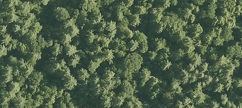 Lowr Notch Rd Rd