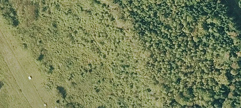 132 Buzzell Gap