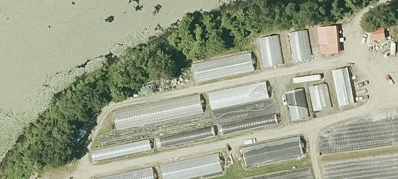 41 Henwood Hl Rd