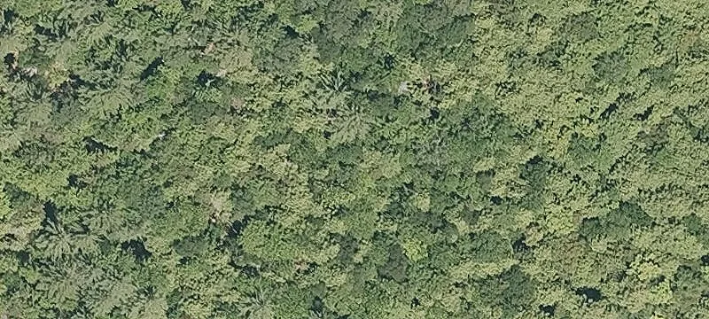 300 Bowen Hl Rd