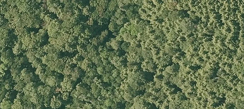 Manley Hl Rd