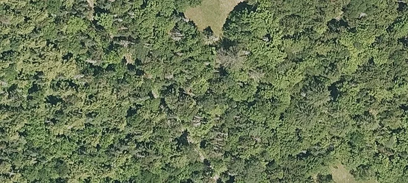 308 Mud Pond Rd