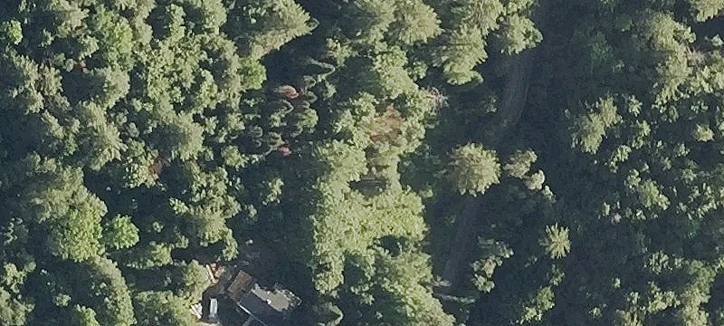 Jones Rd