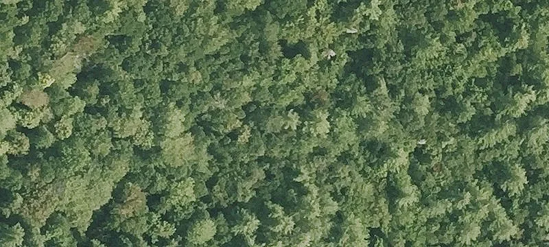 262 County Rd