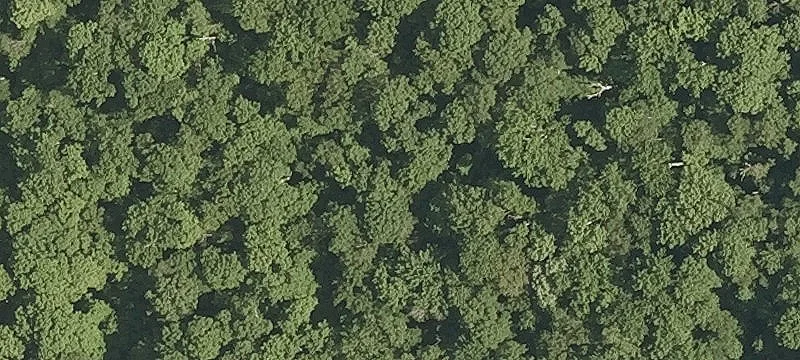 Bristol, VT 05443
