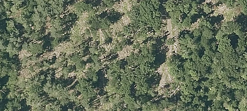 Brandon, VT 05733