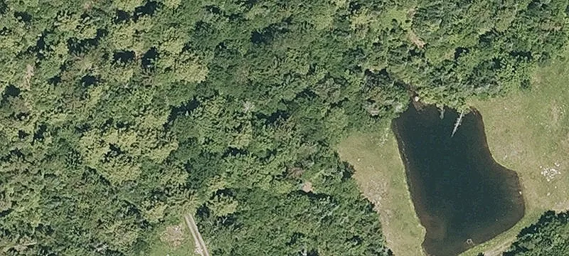 824 Mud Pond Rd