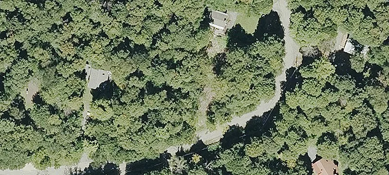 Scattered Timber Rd