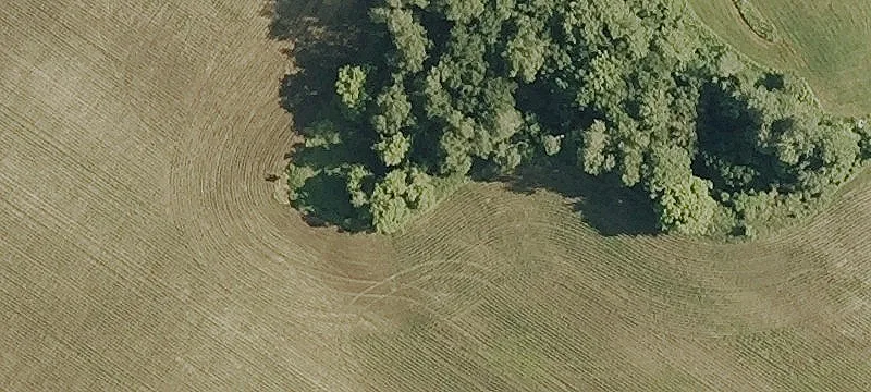 141 Lyle Hvn Rd