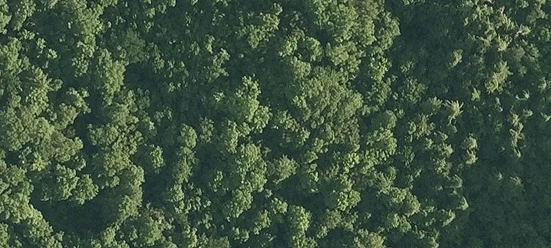 Bristol, VT 05443